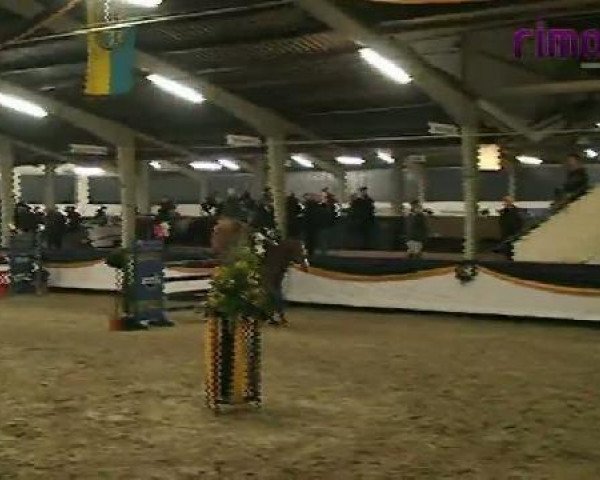 jumper Careful 45 (Hanoverian, 2000, from Champion du Lys)