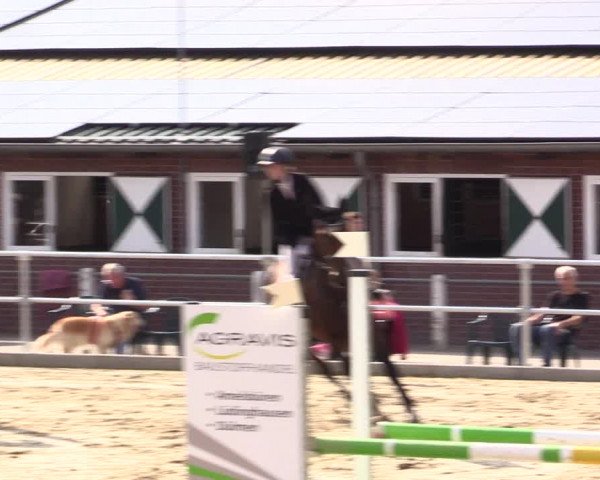Springturnier Lüdinghausen 2021