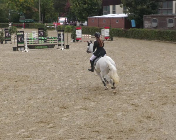Reitturnier Böblingen 2022