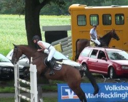 jumper Lilly Jumper (Oldenburg show jumper, 2006, from Lord Pezi)