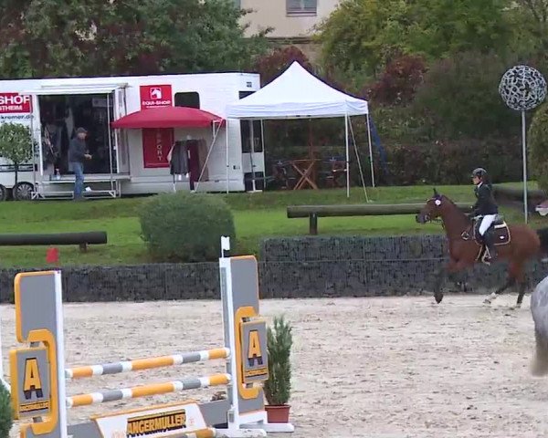 Reitturnier Frankenhof-Sonnefeld/Ofr. 2022