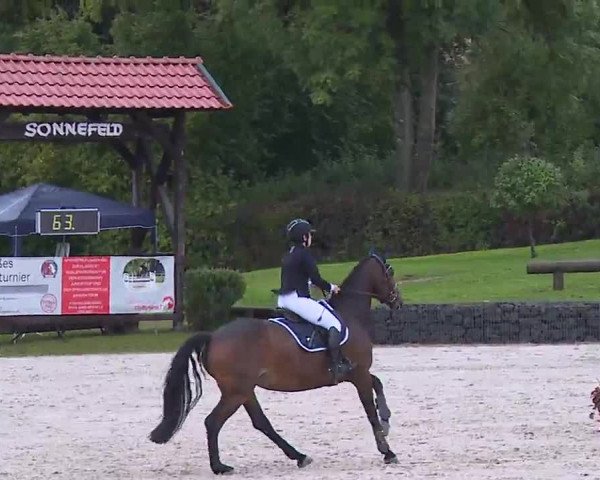 Reitturnier Frankenhof-Sonnefeld/Ofr. 2022
