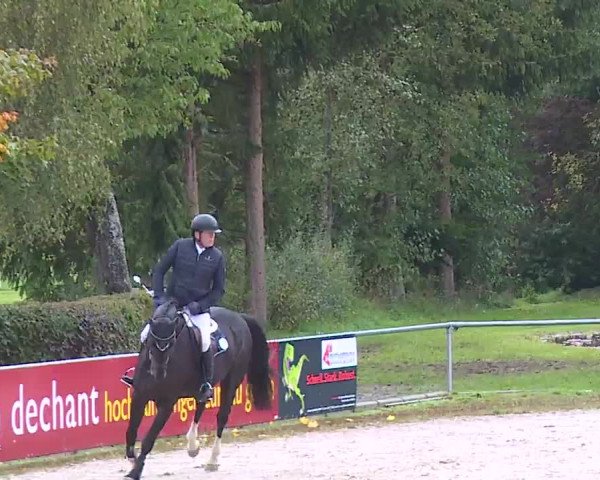 Reitturnier Frankenhof-Sonnefeld/Ofr. 2022