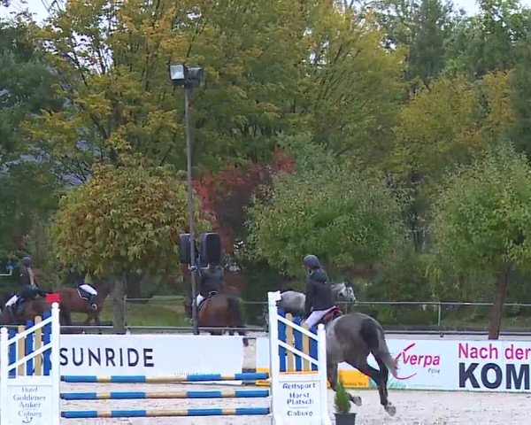 Reitturnier Frankenhof-Sonnefeld/Ofr. 2022