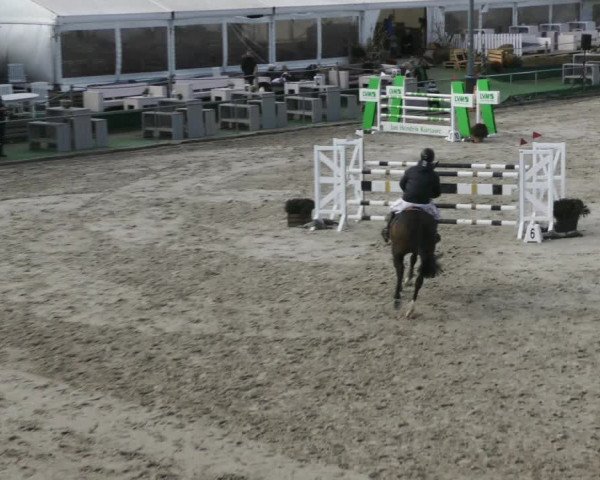 Reitturnier Harsum-Hüddessum 2022