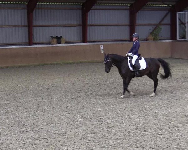 Jugendturnier Indoors Behrendorf 2022