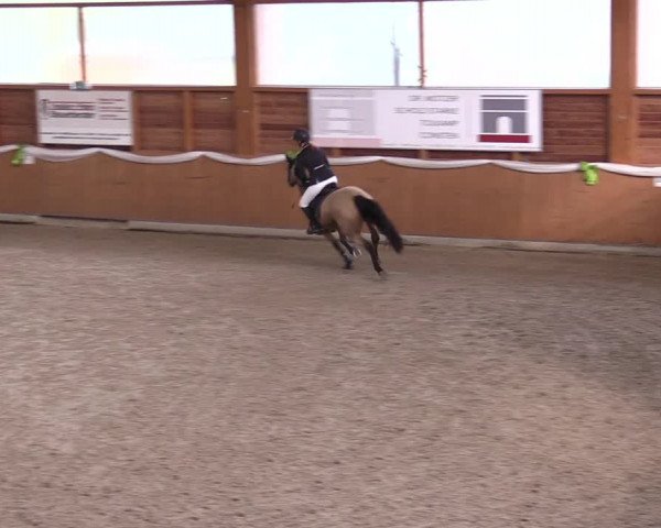 4. Ponyspringturnier Xanten - Reitanlage Miß 2022