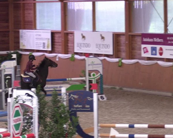 4. Ponyspringturnier Xanten - Reitanlage Miß 2022