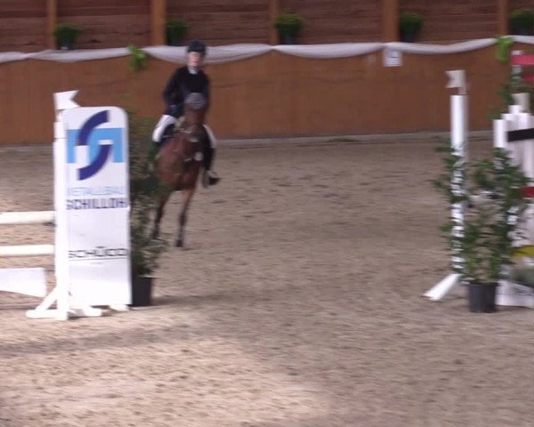 4. Ponyspringturnier Xanten - Reitanlage Miß 2022