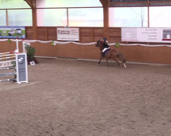 4. Ponyspringturnier Xanten - Reitanlage Miß 2022