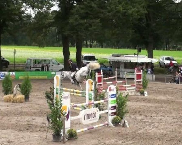 broodmare Corsika (Hessian Warmblood, 1992, from Calypso IV)