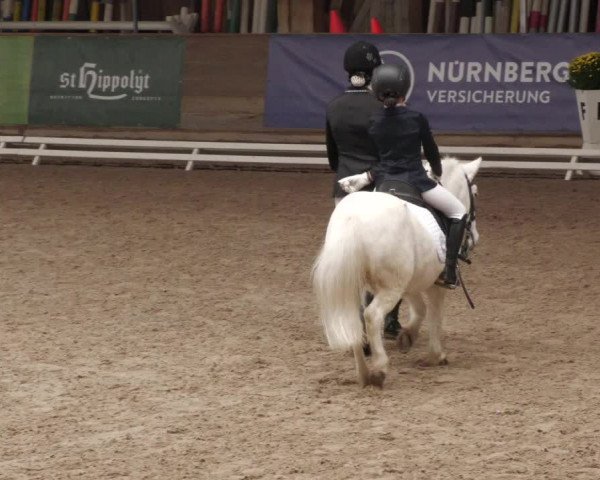 Reitturnier Böblingen 2022