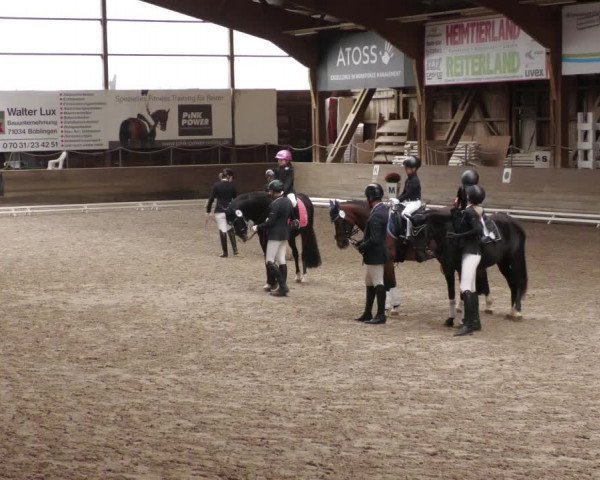 Reitturnier Böblingen 2022