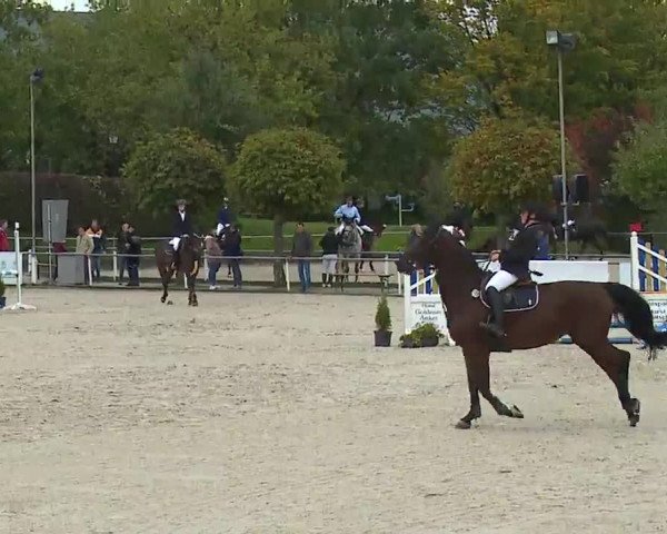 Reitturnier Frankenhof-Sonnefeld/Ofr. 2022