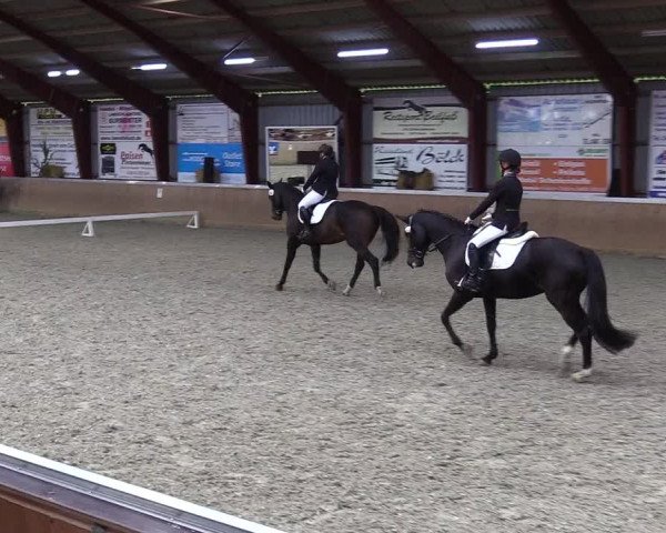 Jugendturnier Indoors Behrendorf 2022