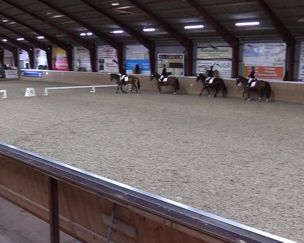Jugendturnier Indoors Behrendorf 2022
