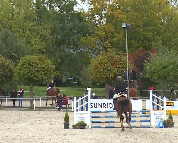 Reitturnier Frankenhof-Sonnefeld/Ofr. 2022