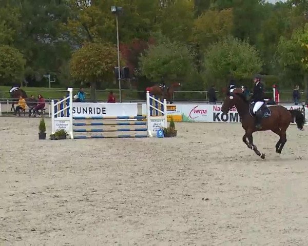 Reitturnier Frankenhof-Sonnefeld/Ofr. 2022