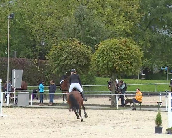 Reitturnier Frankenhof-Sonnefeld/Ofr. 2022