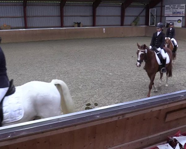 Jugendturnier Indoors Behrendorf 2022