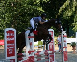 Springpferd Deliee Chocolat F (Westfale, 2006, von Dream On)