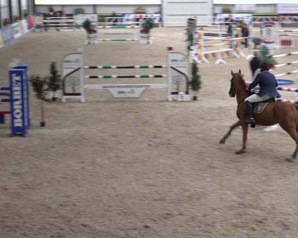 Reitturnier Borken 2022