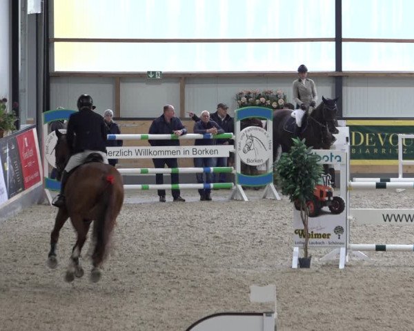 Reitturnier Borken 2022