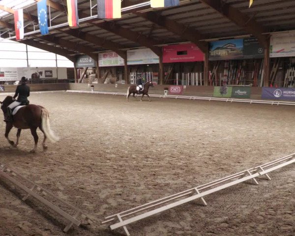 Reitturnier Böblingen 2022
