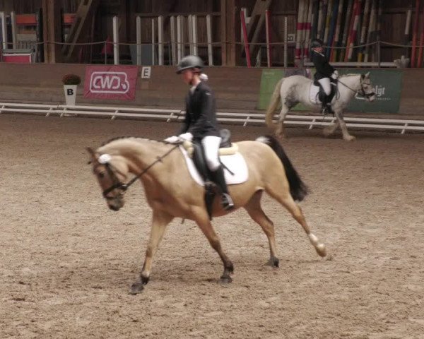 Reitturnier Böblingen 2022