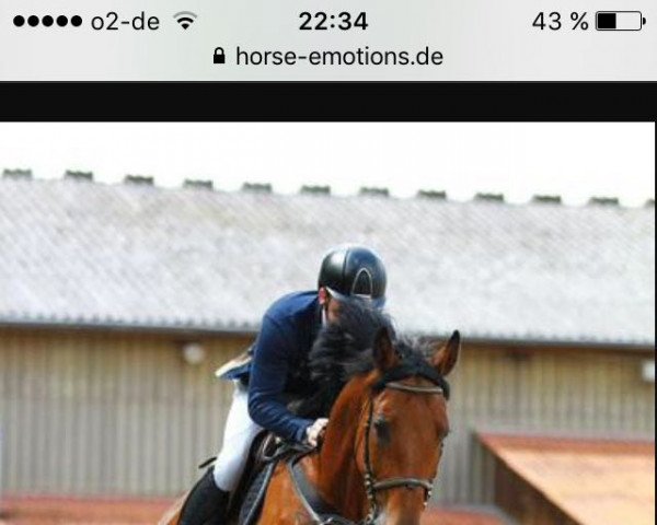 Springpferd Click Clack (Oldenburger Springpferd, 2006, von Colander)