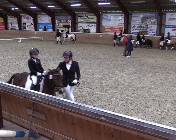 Jugendturnier Indoors Behrendorf 2022