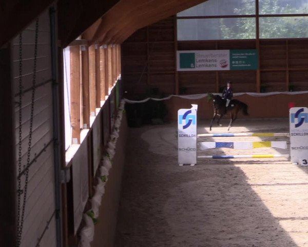 4. Ponyspringturnier Xanten - Reitanlage Miß 2022