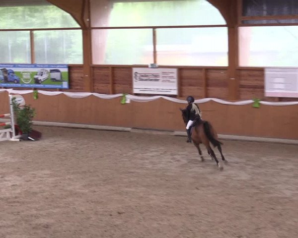 4. Ponyspringturnier Xanten - Reitanlage Miß 2022
