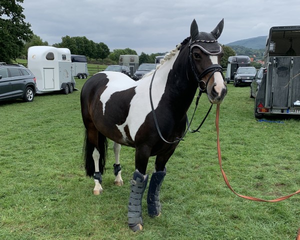 horse Myra H (unknown, 2009, from Munser)