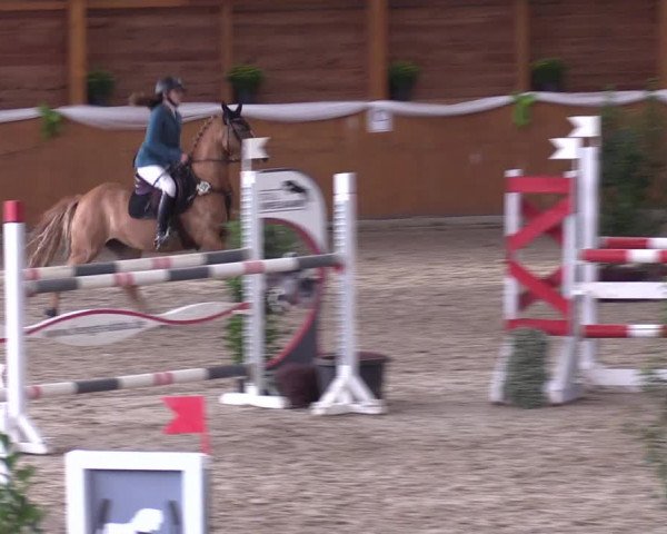 4. Ponyspringturnier Xanten - Reitanlage Miß 2022