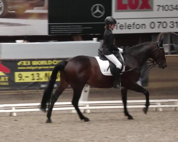 Reitturnier Böblingen 2022