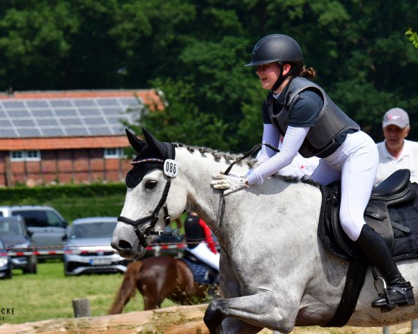 jumper Najuk (German Riding Pony, 2014, from Fs Numero Uno)
