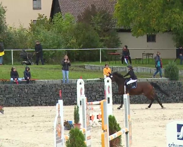 Reitturnier Frankenhof-Sonnefeld/Ofr. 2022