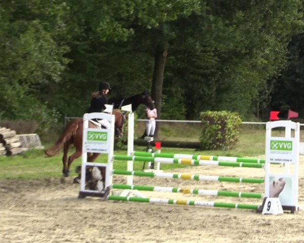 Springturnier Lüdinghausen 2021