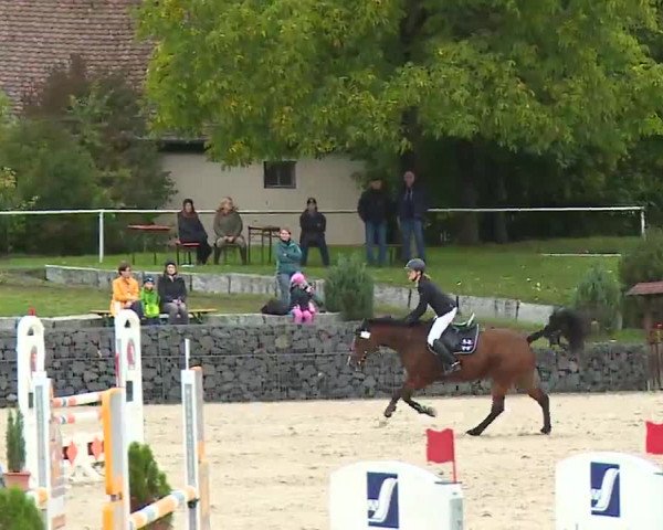 Reitturnier Frankenhof-Sonnefeld/Ofr. 2022