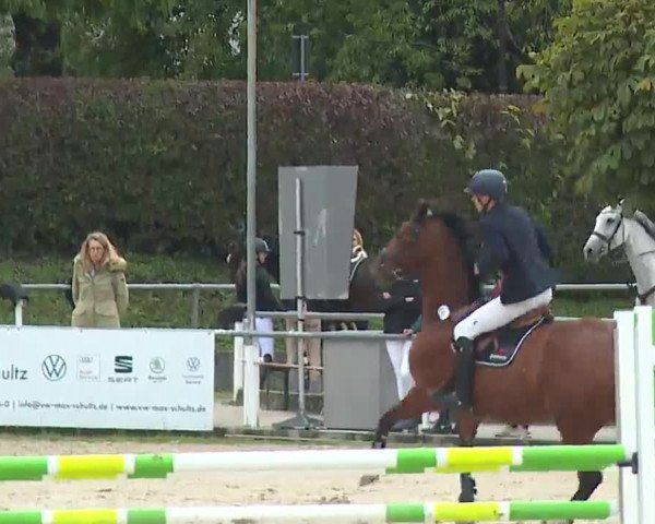 Reitturnier Frankenhof-Sonnefeld/Ofr. 2022