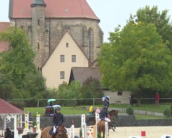 Reitturnier Frankenhof-Sonnefeld/Ofr. 2022