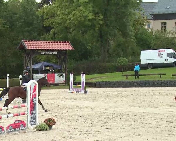 Reitturnier Frankenhof-Sonnefeld/Ofr. 2022