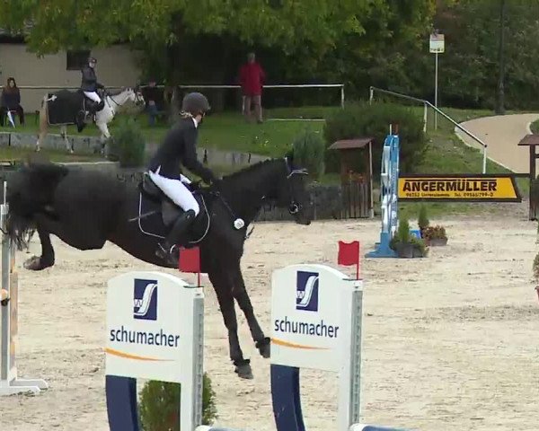 Reitturnier Frankenhof-Sonnefeld/Ofr. 2022