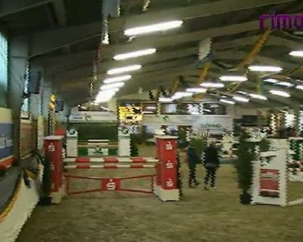 jumper Esprit 318 (Westphalian, 2001, from Ehrenwort)