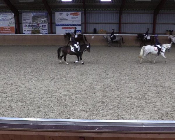 Jugendturnier Indoors Behrendorf 2022