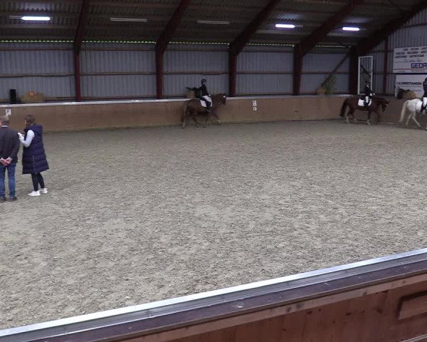 Jugendturnier Indoors Behrendorf 2022