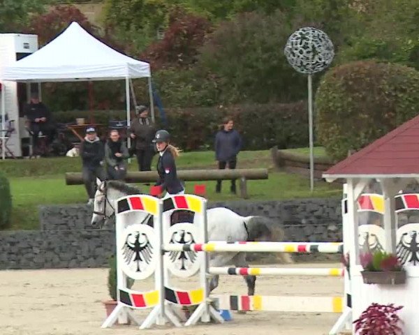 Reitturnier Frankenhof-Sonnefeld/Ofr. 2022