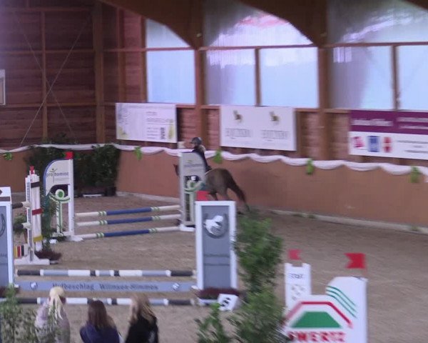 4. Ponyspringturnier Xanten - Reitanlage Miß 2022