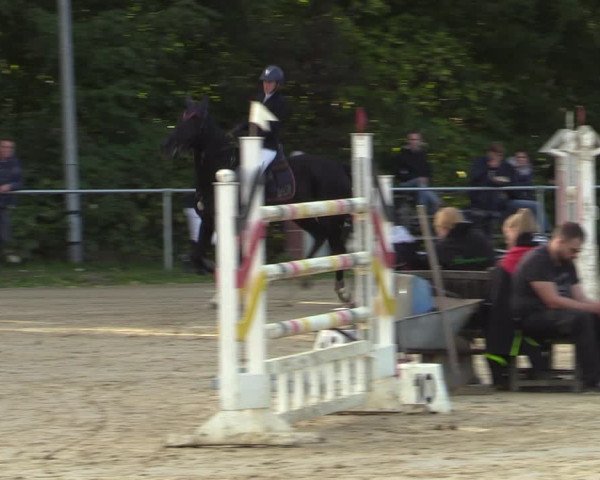 Reitturnier Kamen 2022